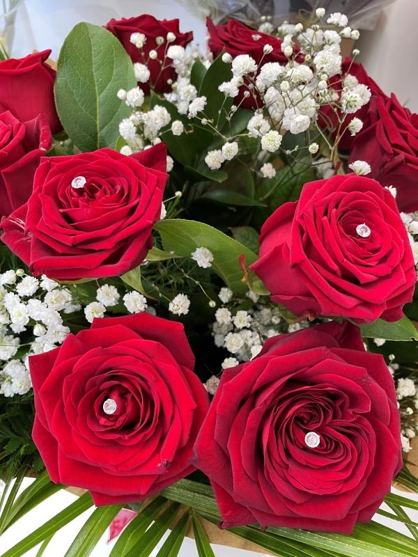 12 Red Roses